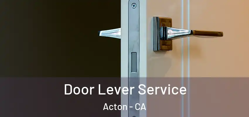  Door Lever Service Acton - CA