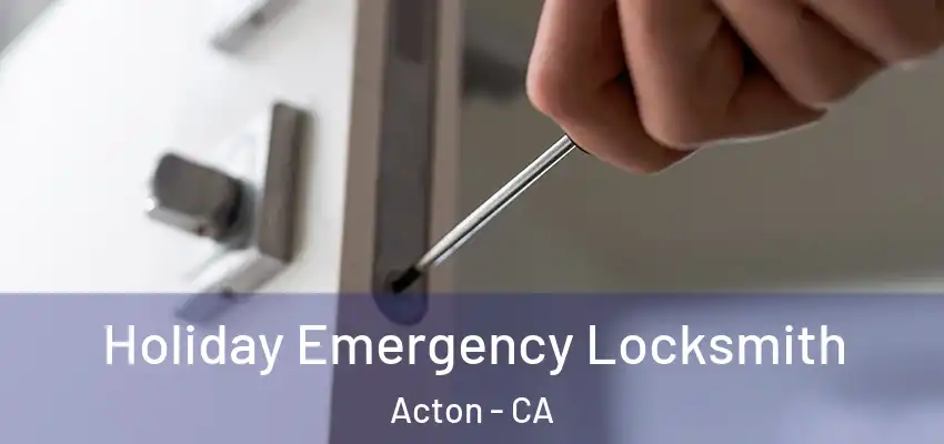  Holiday Emergency Locksmith Acton - CA