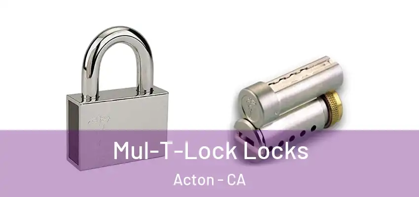  Mul-T-Lock Locks Acton - CA