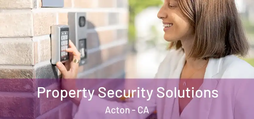  Property Security Solutions Acton - CA